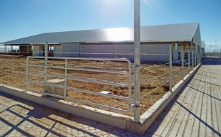 CALINOS HOLDING - INTEGRATED LIVESTOCK COMPLEX